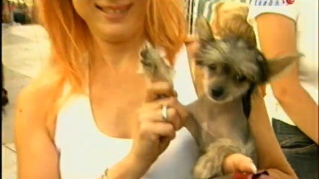 Нашествие 2005. Танцы минус смотреть онлайн