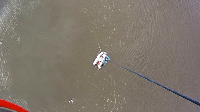 Секретный лес. смотреть онлайн