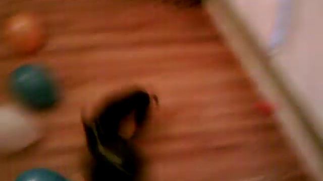my dog loves to pop balloons смотреть онлайн