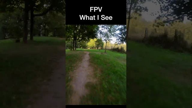 Look Inside FPV - GEPRC Mark 5 HD - Day 5 смотреть онлайн