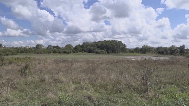 Урожай погибает. Последствия ливней на Кубани смотреть онлайн