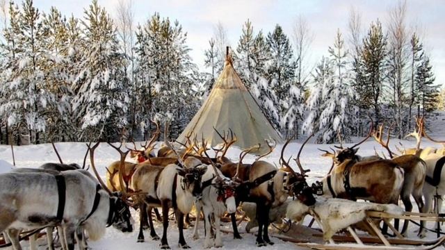 Интересный факт: " Путешествие к народам севера" смотреть онлайн