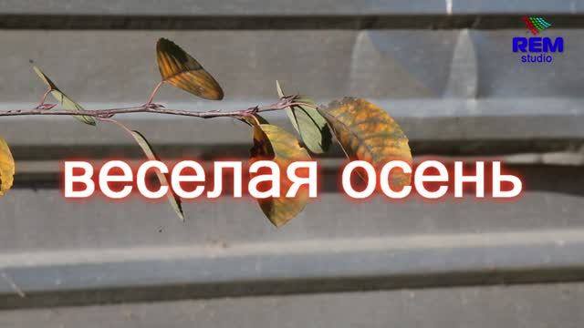 Веселая осень смотреть онлайн