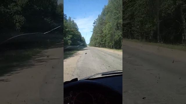 Боровичи - Пестово смотреть онлайн