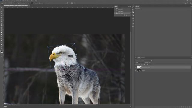 match two animals in photoshop | photoshop art |how to use photoshop | смотреть онлайн