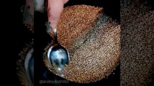 ПЛОВ ИЗ ГРЕЧКИ | КАША ПО КУПЕЧЕСКИ С ГРИБАМИ