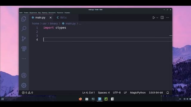Ctypes Python – Огромная скорость и БЕЗОПАСНОСТЬ компонентов смотреть онлайн