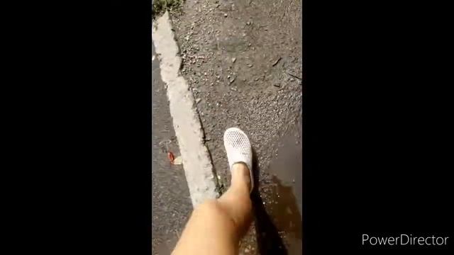 влог с фурри прогулки+празднование день рождения Шио смотреть онлайн