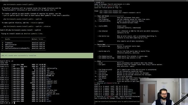 Shopware 6 Plugin entwickeln - Livestream #4 смотреть онлайн