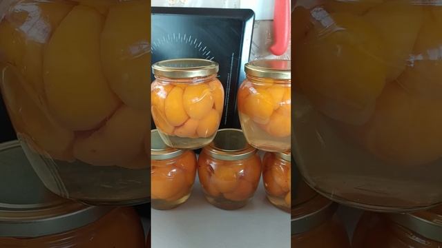 Гастрономический Фейерверк