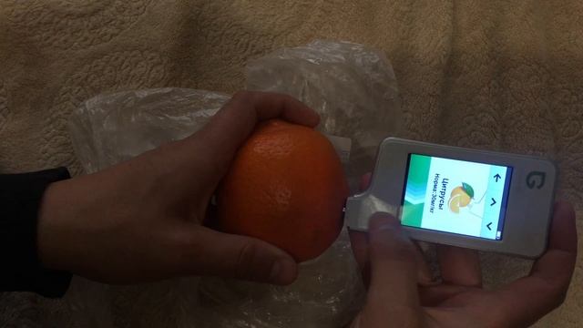 Тест нитрат-тестера Anmez Greentest на овощах и фруктах из Экомаркет 22.09.2019 смотреть онлайн