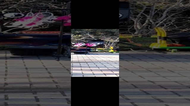 уличные артисты в Геленджике смотреть онлайн