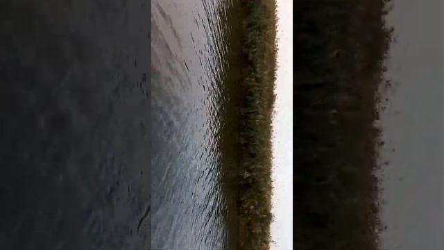 TRIM 20180903 170825 смотреть онлайн