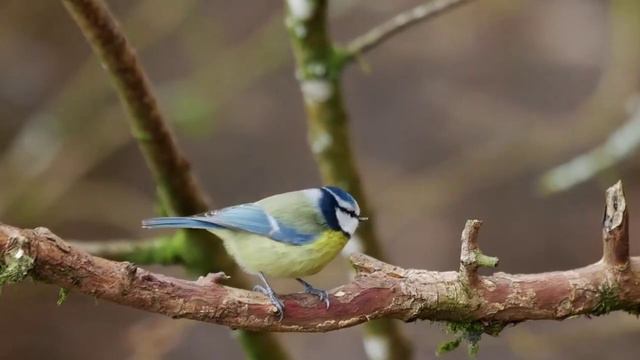 Всем доброго утра и хорошего дня! смотреть онлайн