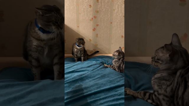 Не подходить! смотреть онлайн