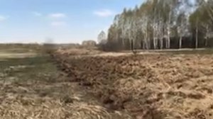 Бороним Поле. Первичная обработка залежных земель. Апрель 2023