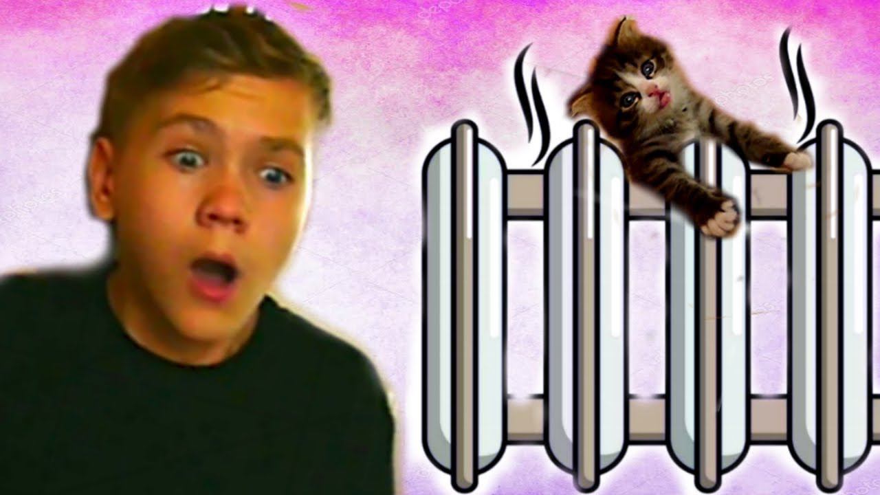 Коля СПАСАЕТ маленького КОТЁНКА из СМЕРТЕЛЬНОЙ ЛОВУШКИ смотреть онлайн