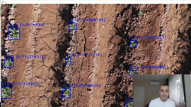 Count plants with a Drone, AI and Computer Vision | Does it really work? смотреть онлайн
