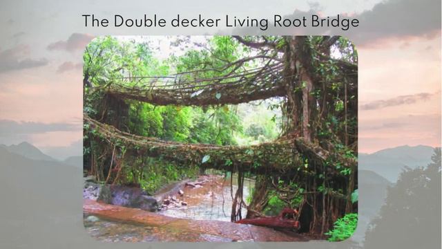 Meghalaya Living Root Bridges | Behind The Name смотреть онлайн