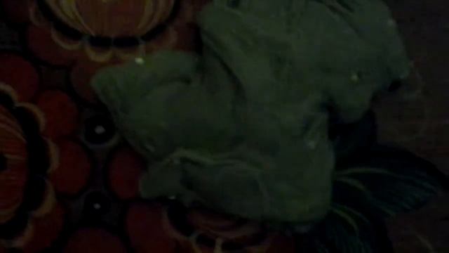 Сори что освещение плохое смотреть онлайн