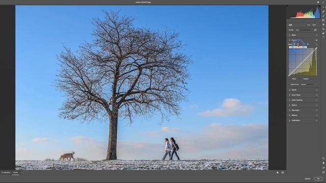 Easy Target Adjustments in Photoshop and Adobe Camera Raw смотреть онлайн