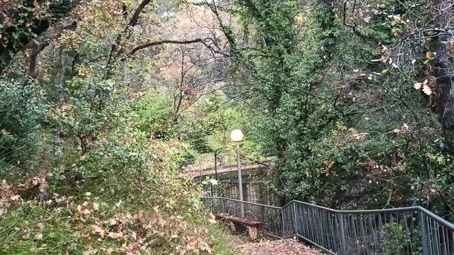 Так можно лишиться языка.Посещение стоматолога доставило большие неприятности.10.12.2022 смотреть онлайн