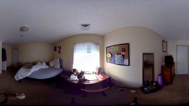 Slower Immersive Poetry with Cats смотреть онлайн