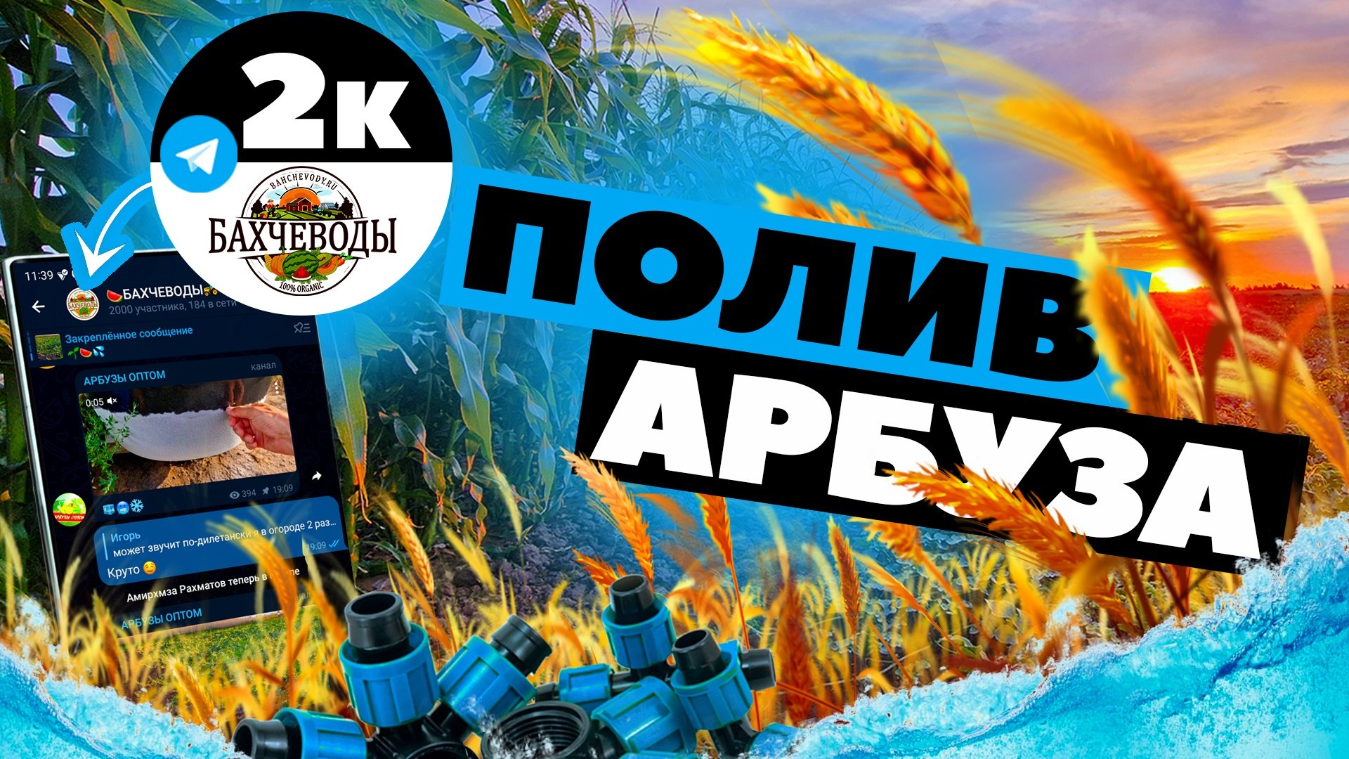 Полив арбуза ??? смотреть онлайн