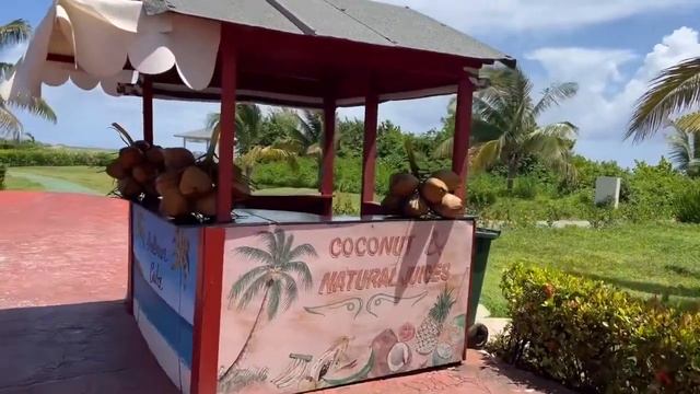 Pullman Cayo Coco Walkthrough смотреть онлайн