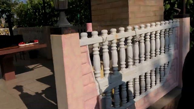 Виноградник Михаила Гуцу. Часть вторая. смотреть онлайн