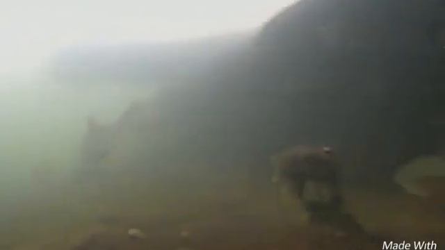 Камера Calypso-UVS03 тест