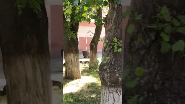 Ира сдает на права А, А1(1) смотреть онлайн