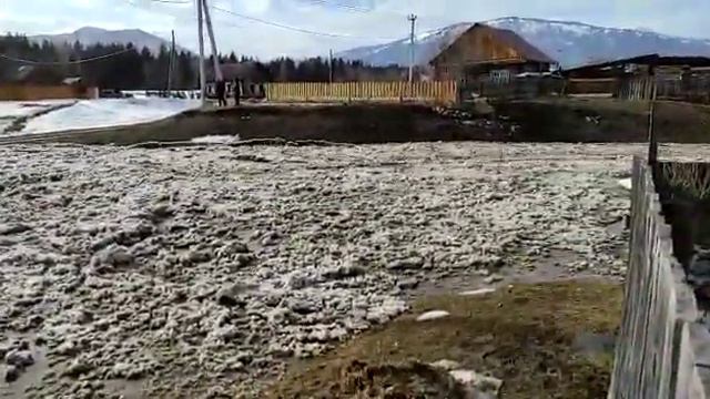 Паводок весна 2021 Республика Алтай смотреть онлайн