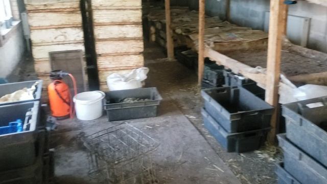 Подкормил кальциевой селитрой свои растения. смотреть онлайн