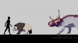 BONUS  Animated Size Comparison!