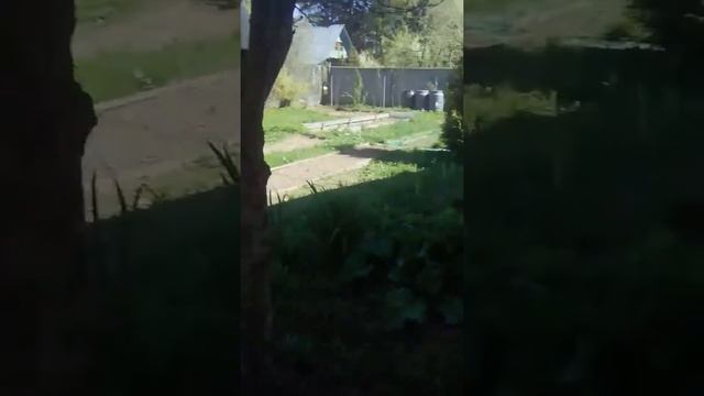 Наша дача Красногорск Московская область Россия смотреть онлайн