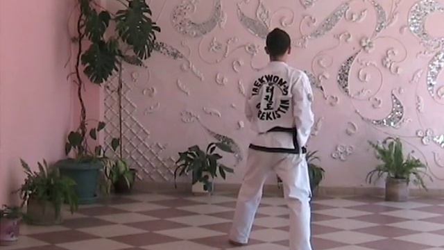 Са джу джириги