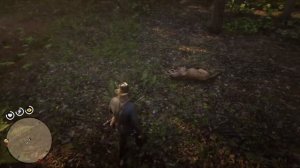 Где найти ПАНТЕРУ в RDR2 (1 способ) | Превосходная шкура пантеры