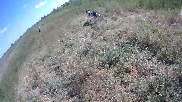03.07.2022 ЧТО ДЕЛАТЬ? : ЛПХ В ОПАСНОСТИ смотреть онлайн