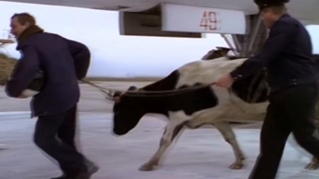 Сектор Газа - Гуляй, мужик Vs Особенности (VJ Romanovski) смотреть онлайн