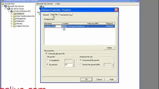 Creating a Database in SQL Server ASP.NET - wingslive смотреть онлайн