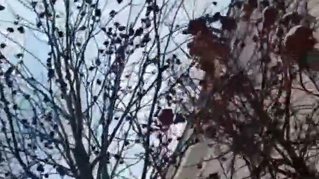 Зима пришла в город Серов смотреть онлайн