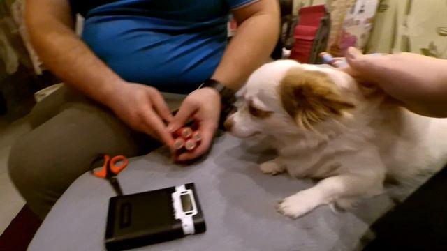 VLOG: ЧТО ПОДАРИЛИ НА РОЖДЕНИЕ ДОЧКИ В РОДДОМЕ?/РАСПАКОВКА С AliExpress смотреть онлайн