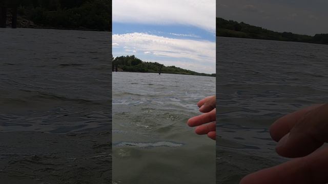 Как правильно отпускать судака в воду? #Shorts смотреть онлайн