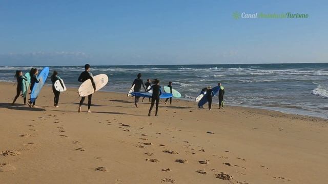 La Playa del Palmar. Vejer de la Frontera, Cádiz смотреть онлайн