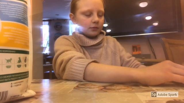 Кошачий корм, как кормить котёнка ? смотреть онлайн