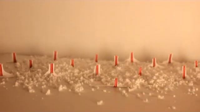 ролик КФХ Зеленое море - Москва - РГАУ-МСХА смотреть онлайн