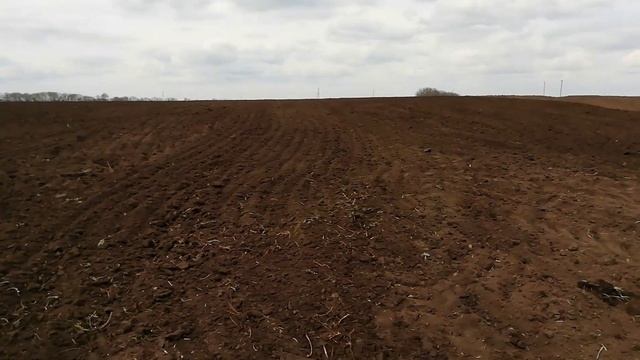 Предпосевная культивация Культиватор КПС 4.2 и трактор МТЗ 82.1. Подготовка к севу. смотреть онлайн