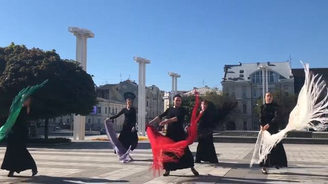 Фантазия с шалью. Фламенко. Flamenco