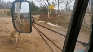 Самосвал на ГАЗ 63